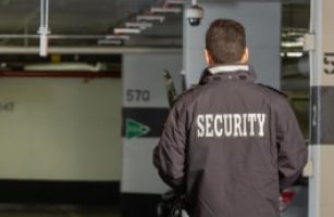 Commercial Security Professional